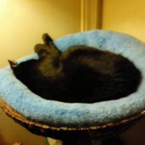 Meet your Posher, Theresa